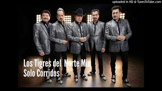 LOS TIGRES DEL NORTE SOLO CORRIDOS MIX BY DJ ANDRY EL SALVADOR [upl. by Lamonica]