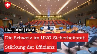 Die Schweiz im UNOSicherheitsrat Effizienz des UNOSicherheitsrat stärken [upl. by Onateyac623]