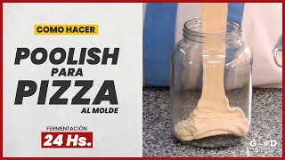 POOLISH para PIZZA  Qué es y cómo hacer PIZZA con POOLISH [upl. by Ajnat]