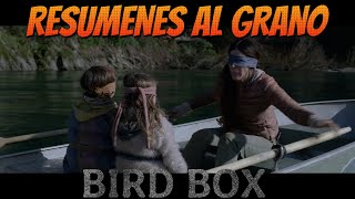 Bird Box Resumen en Minutos [upl. by Ylecic]