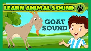 Animal Sound for Children  Goat Sound Camel Sound Pig Sound  Kids Hut [upl. by Gnilhsa]