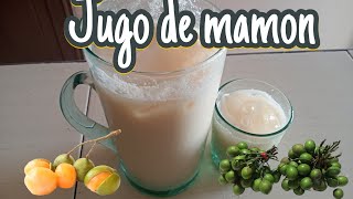 JUGO DE MAMONmamoncillobebidarefrescante [upl. by Faun145]