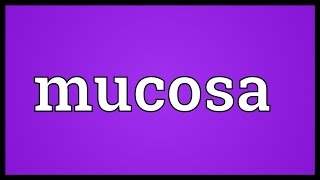 Mucosa Meaning [upl. by Radman116]