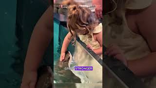 A stingray in labor got strandedshorts animals stingray rescue [upl. by Ahsoem]