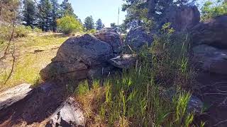 Hiked Genesee Summit Trail amp Loop Vlog July 30th 2024 [upl. by Poucher]