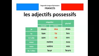 🇫🇷 Les adjectifs possessifs  🇪🇸 Los adjetivos posesivos [upl. by Alfreda]