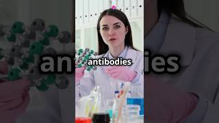 Types of Antibodies shorts antibodies science pharmacy pathophysiology biology facts study [upl. by Peterman]