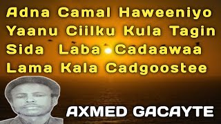 gacayte  axmed gacayte sida laba cadaawaa  gacayte lama kala cadgooste  cadho kaaga maan tagin [upl. by Eenitsed]