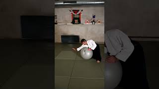 Roll with the ball Mae ukemi trick aikido martialarts ukemi funny [upl. by Wasson]