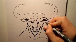 How to draw a Bull [upl. by Fabiano167]