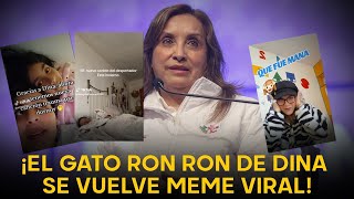 MEME VIRAL  quotEl Gato Ron Ronquot de Dina Boluarte genera traumas en usuarios de Tik Tok [upl. by Enimzaj]