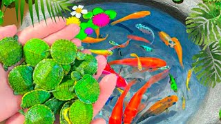 Catch Nests Of Catfish In Eggs Koi Guppy Fish Betta fish Neon Fish Zebra Fish  Video Fishing [upl. by Chladek]