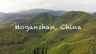 Moganshan China [upl. by Aneela]