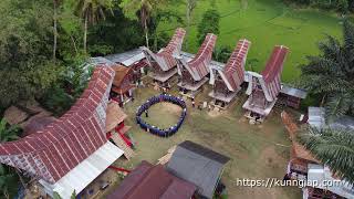 Funeral Ceremony in tana toraja Indonesia Drone View [upl. by Hahcim]