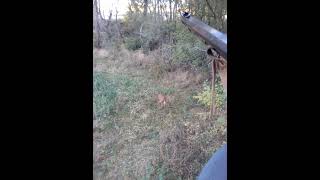 muzzle loader season 2024 [upl. by Mick980]