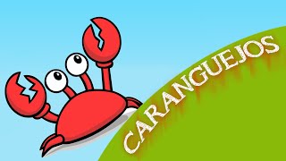 Planeta Animal  Caranguejos [upl. by Mame166]