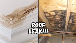 What Does A Roof Leak Look Like [upl. by Yclek]