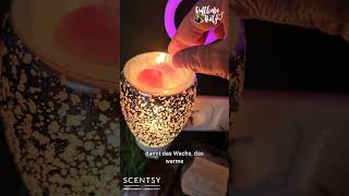 Scentsy Wachswechsel scentsy duftlampe wachswechsel scentsydeutschland duftliebe [upl. by Dominique]