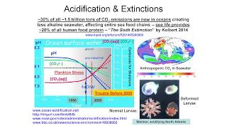 Ocean Warming amp Acidification  Dr Alex Cannara  TEAC8 [upl. by Korwin455]