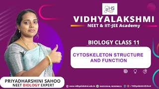 Cytoskeleton structure and function Cytoskeleton class 11  NEET [upl. by Alicul]