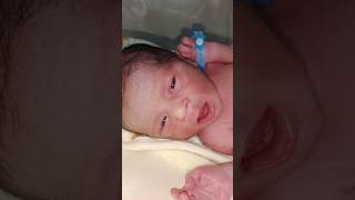 Newborn baby cute🥰🌼 viralvideo shortvideo [upl. by Pagas]