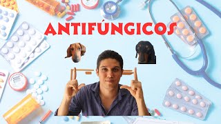 Antifúngicos [upl. by Imnubulo]