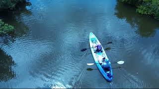 Bicentennial Park Oldsmar Kayaking in Mobbly Bay [upl. by Yevoc]