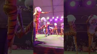 Pili Nalike 2024 Polali Tigers shorts tigerdance mangaloredasara [upl. by Lilybelle]