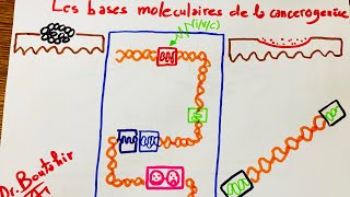 Les bases moléculaires de la cancérogénèse [upl. by Auj893]