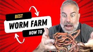 MY BOKASHI WORM FARM COMPOSTING EXPERIMENT [upl. by Jobina525]