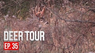 CRAZY RUTTING FOOTAGE Intense Deer Vocalizations  DEER TOUR E35 [upl. by Elletsirk]