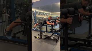 Technogym Pure Strength Plate Loaded  GHD Bench [upl. by Enyamrahs]