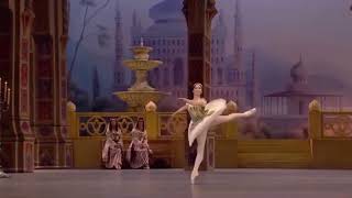 LE CORSAIRE  Odalisque Variation 2 Elvina Ibraimova  Bolshoi Ballet [upl. by Reham]