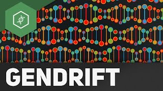 Gendrift  Flaschenhalseffekt Gründereffekt – Evolutionsfaktoren 2 [upl. by Yerocal769]