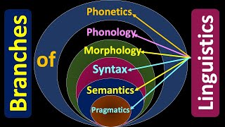 Branches of Linguistics Phonetics Phonology Morphology SyntaxSemanticsPragmatics linguistics [upl. by Sirtimed369]