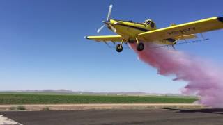 Gender reveal with airplane [upl. by Asquith]