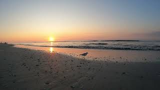 Hilton Head South Carolina Sunrise Peaceful Morning View on Coligny Beach [upl. by Algy]