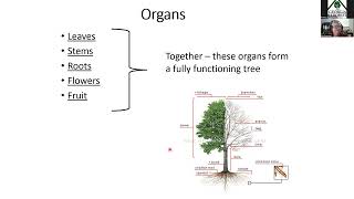 ISA Certified Arborist® Virtual Exam Prep Course Fall 2023 Ch1 BiologyCh9 Part 1 Support [upl. by Yasnil]