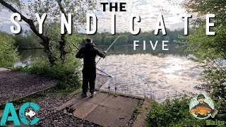 The Syndicate  Five  Carp Fishing 2024 [upl. by Farny]