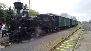 Dampflokomotive Kaffemühle im Bahnhof Luzna [upl. by Hally]