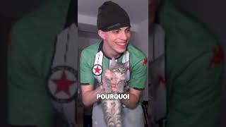 Un chat dans mon appart  twitch videoclips videohighlights [upl. by Sid]