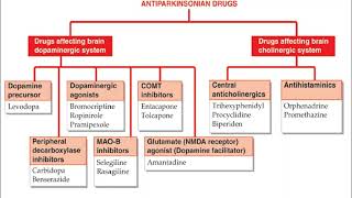 Antiparkinsonian Drugs [upl. by Oakleil]