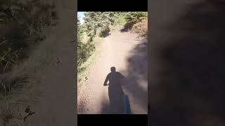 Change my mind Undertow is Deer Valleys most perfect trail mtb nature [upl. by Denae850]