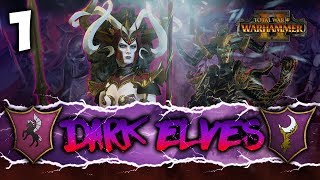 DARK ELVES WILL RULE ALL  Total War Warhammer 2  Dark Elves Coop Campaign w Lionheartx10 1 [upl. by Kenton]