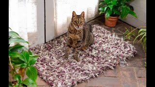 Alfombra con bochón totora  Paso a paso en crochet [upl. by Hennessey]