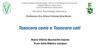 Toxocara canis e Toxocara catis [upl. by Eddie393]