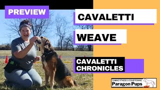 Cavaletti Weaves Sneak Preview [upl. by Vey]