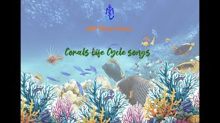 Corals Life Cycle  Song IGCSE MARINE SCIENCE [upl. by Liek]