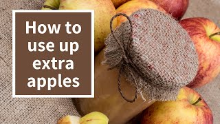 Quick amp Easy Freezer Applesauce Recipe  No Canning Required [upl. by Jardena]