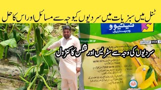 stem blight control in Winter  Sardiyon Me Plant Ki Hifazat  How to protect plant  سٹیم بلائیٹ [upl. by Aerdnna]